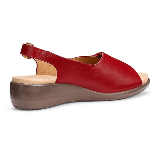 Olivia - Image 6