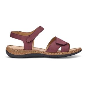 Piya - Image 6