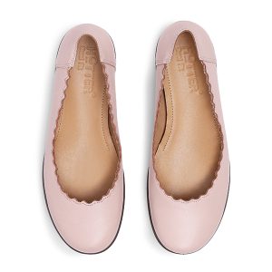 Eider - Image 5