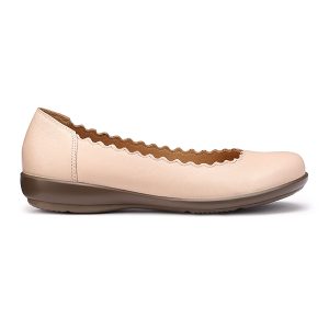 Eider - Image 4