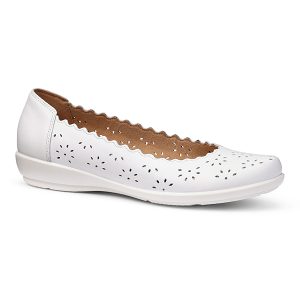 Eider