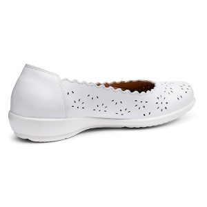 Eider - Image 12