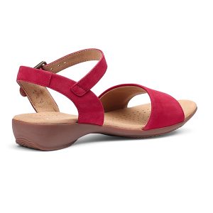 Tropic - Image 12