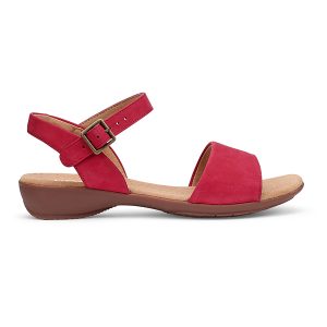 Tropic - Image 10